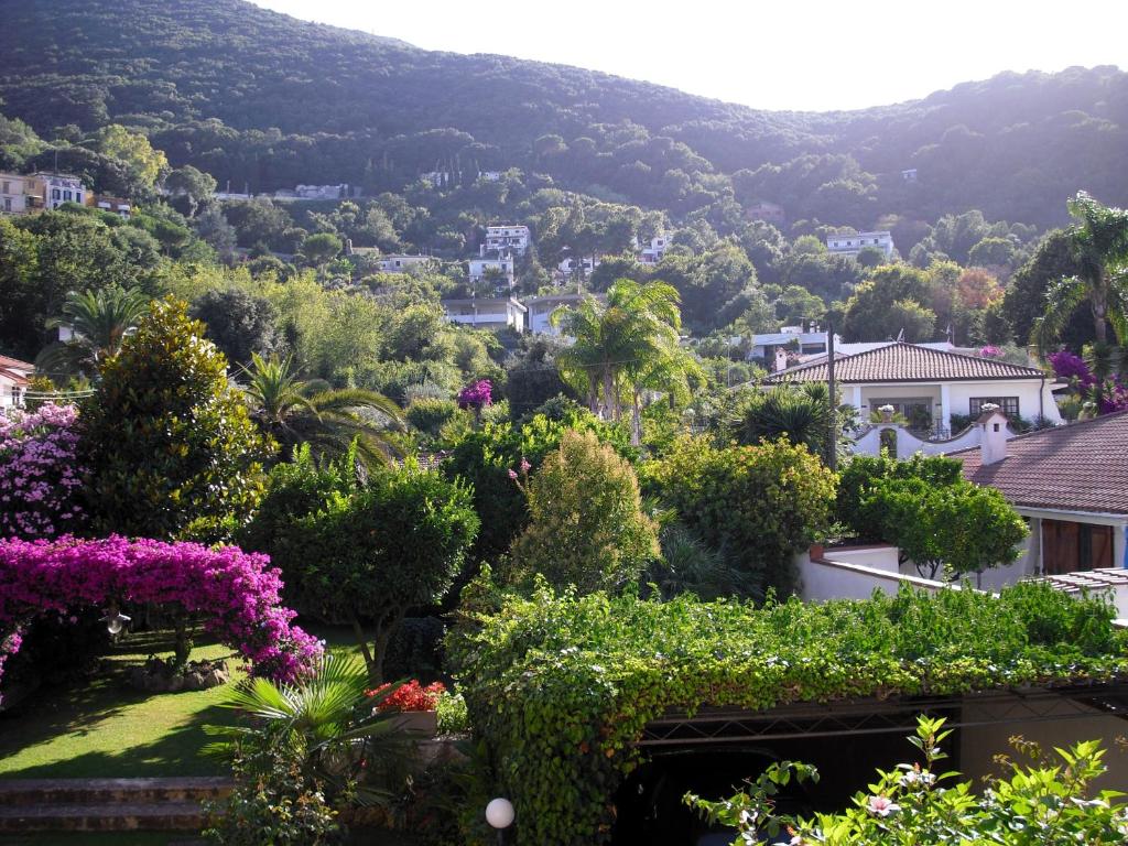 Γενική θέα στο βουνό ή θέα στο βουνό από  αυτό το διαμέρισμα