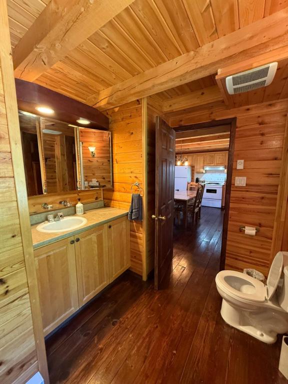 baño con aseo y lavamanos en una cabaña en Le repère de la Rivière, en Saint-Alexis-des-Monts