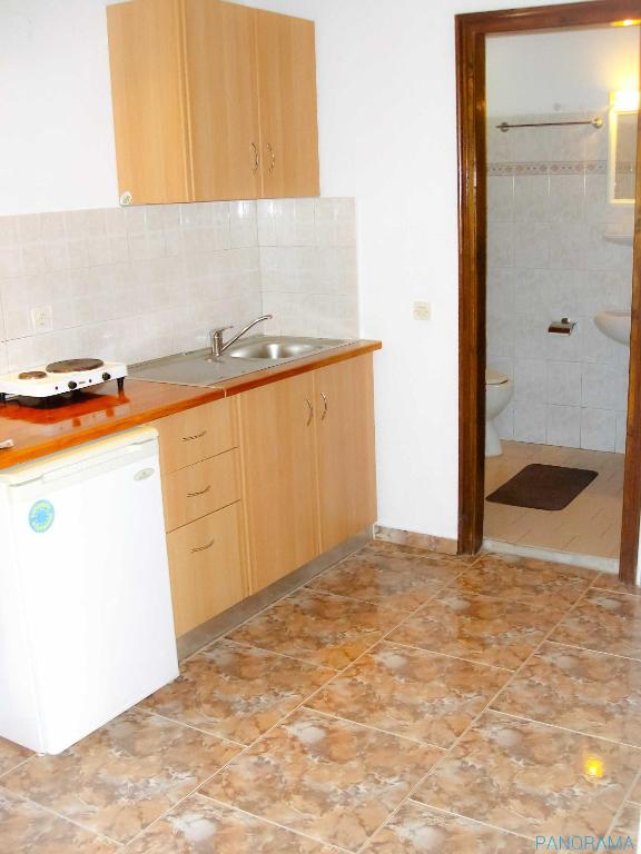 Kuchyň nebo kuchyňský kout v ubytování Panorama apartments