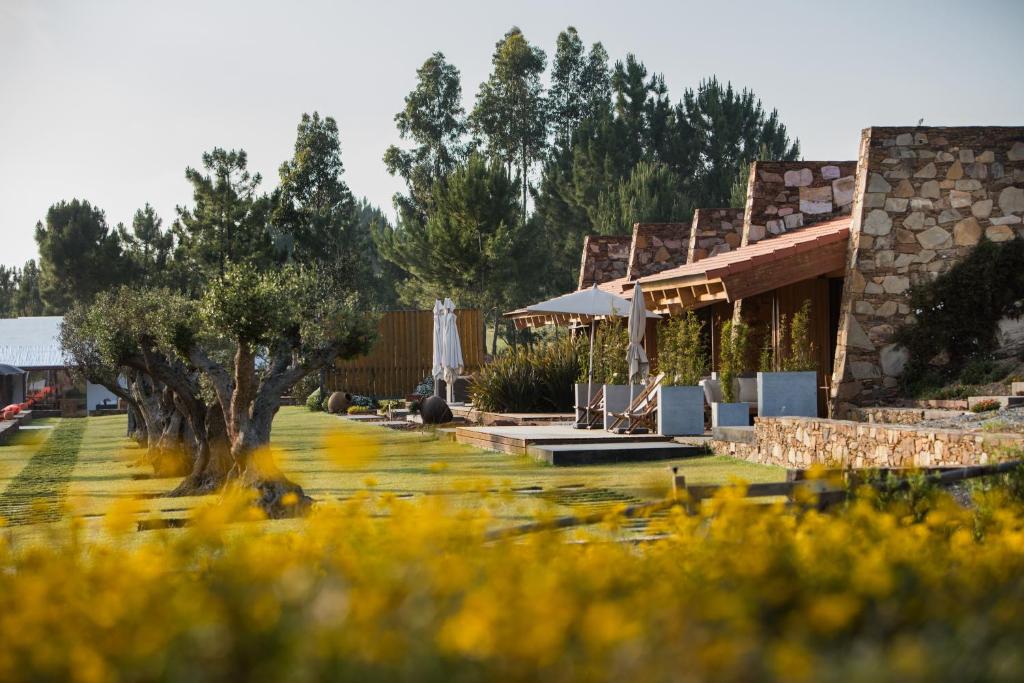 Zahrada ubytování TEIMA, Alentejo SW