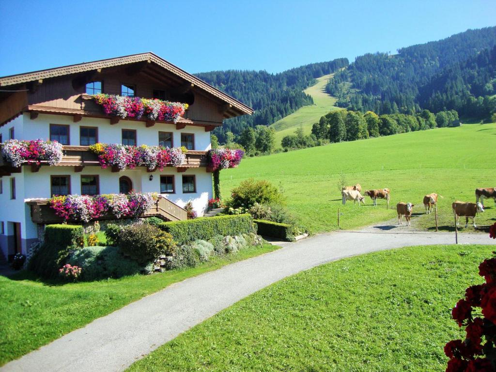 a house on a road with cows in a field at Sixenhof in Niederau