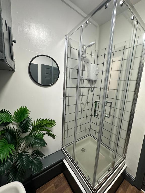 a shower in a bathroom with a mirror and a plant at 2 Bed Apartment off London Road in Sheffield