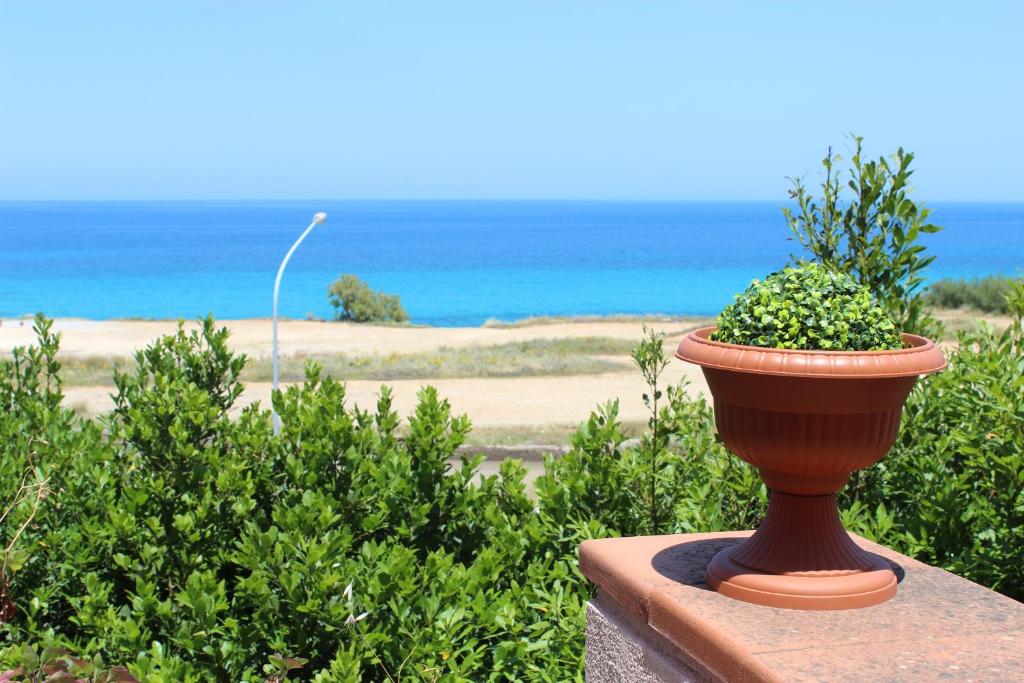 a plant in a vase sitting on a wall near the ocean at Mondello Addaura Home Holiday in Mondello