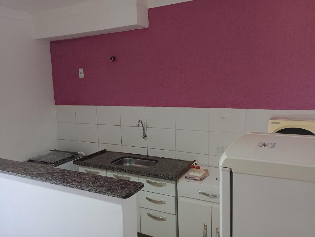 a kitchen with a sink and a purple wall at Apartamento inteiro a 1 minuto da Unesp in Jaboticabal