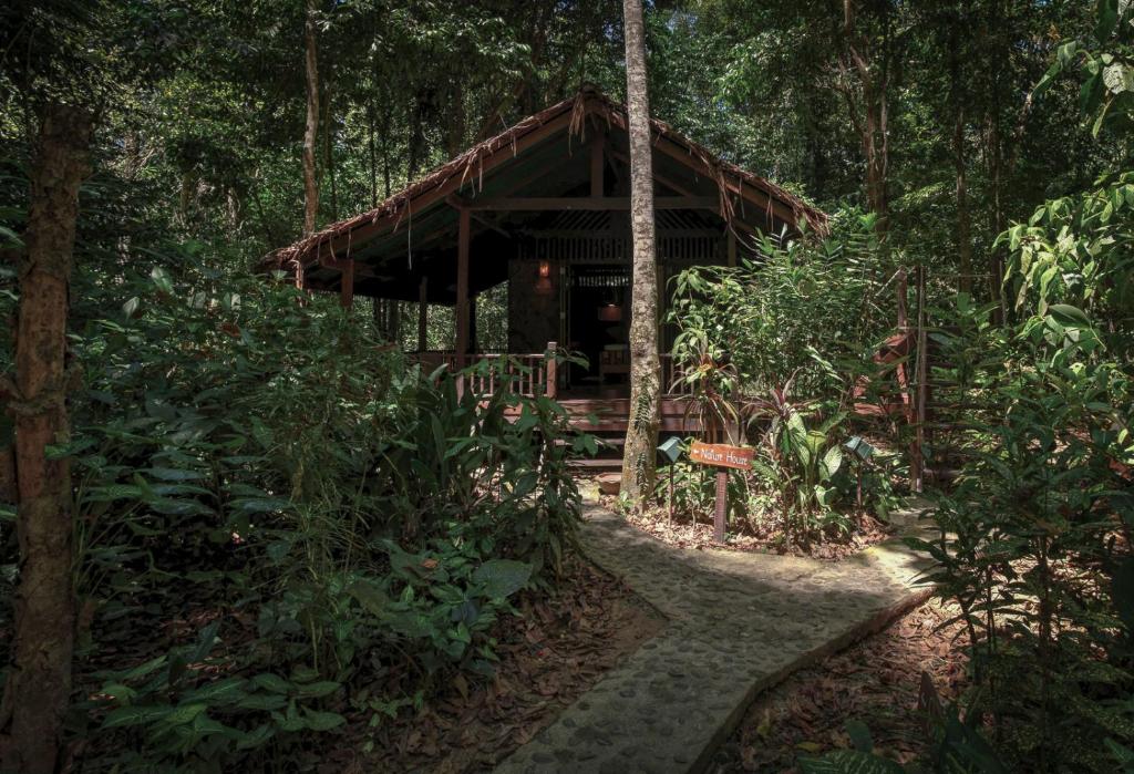 Our Jungle House - 6