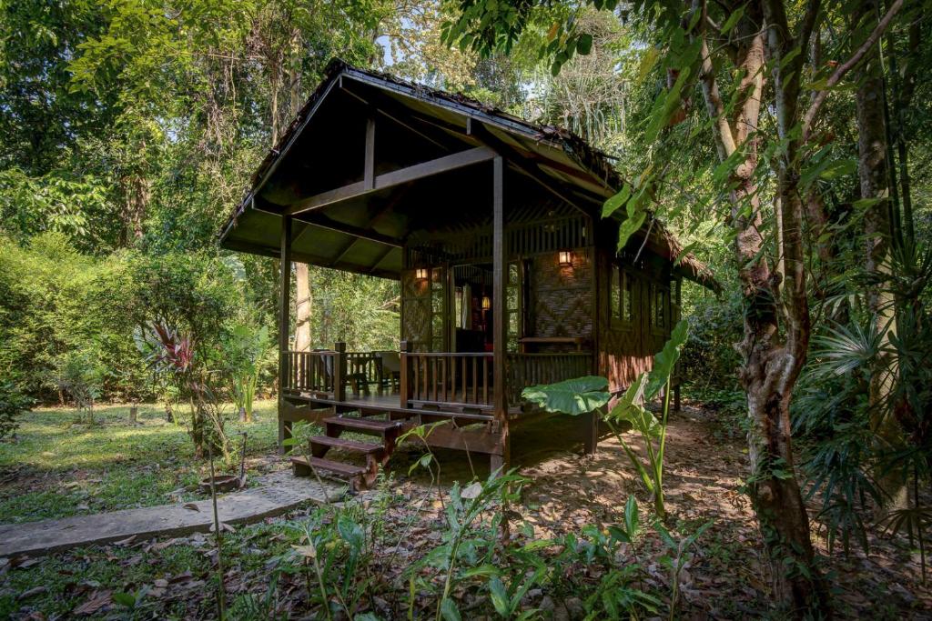 Our Jungle House - 10