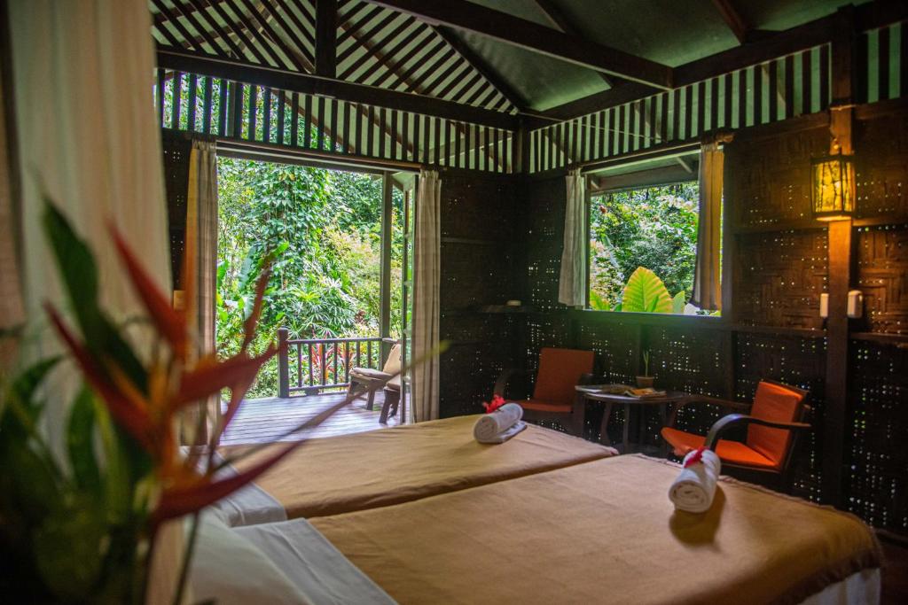 Our Jungle House - 8