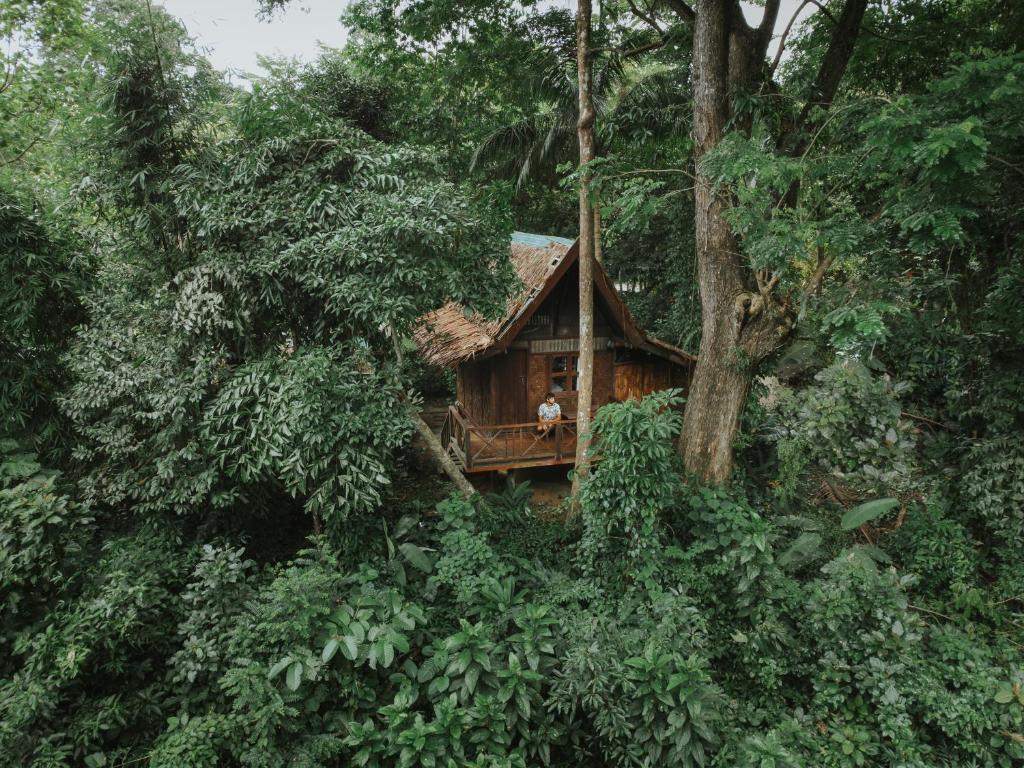 Our Jungle House - 1