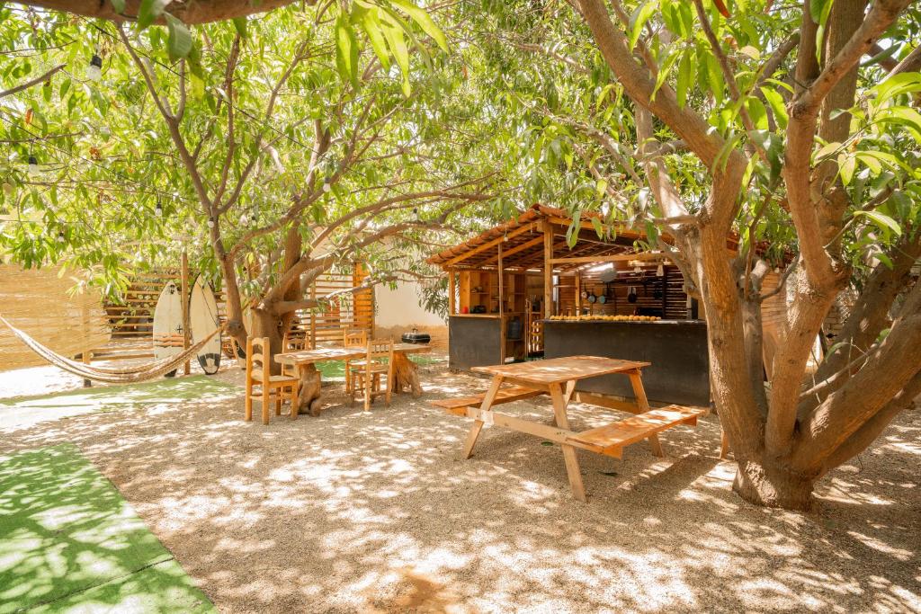 a picnic table and benches under a tree at Mahue Rooms and Camping in Puerto Escondido