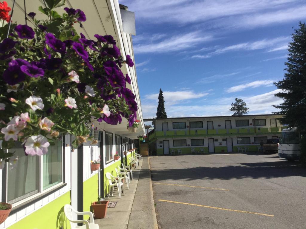 The Cedars Motel