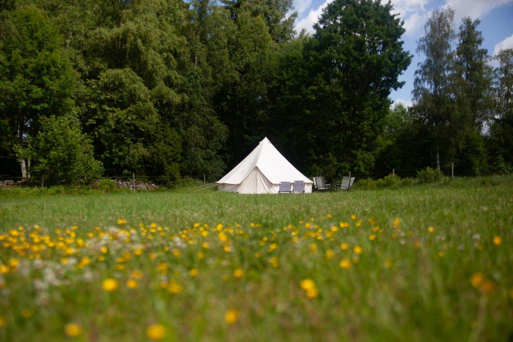 zelt mit feldbett Sekey Feldbett Campingbett Klappbar 1907135 cm | 200 kg belastbar