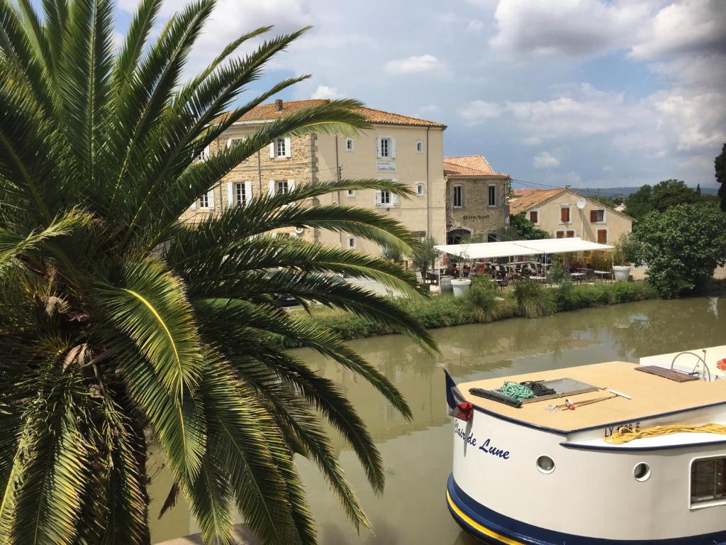 a palm tree and a boat in a river at Le Neptune in Le Somail