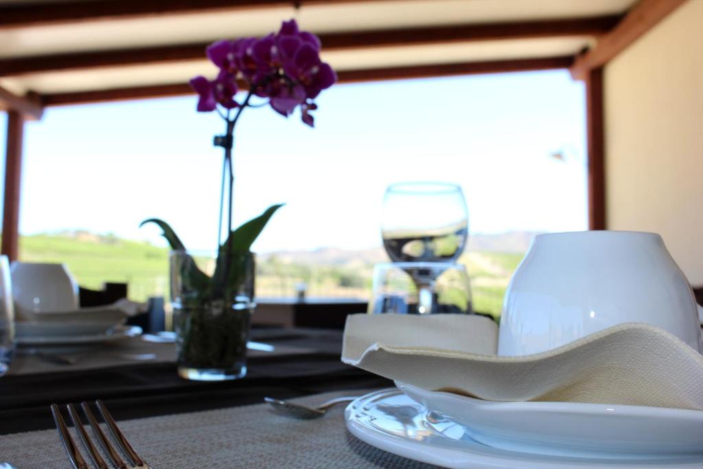 Agriturismo La Casa di Bacco - 11