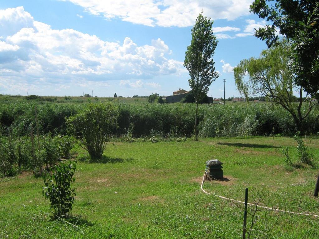 Zahrada ubytování Ca Ballarin