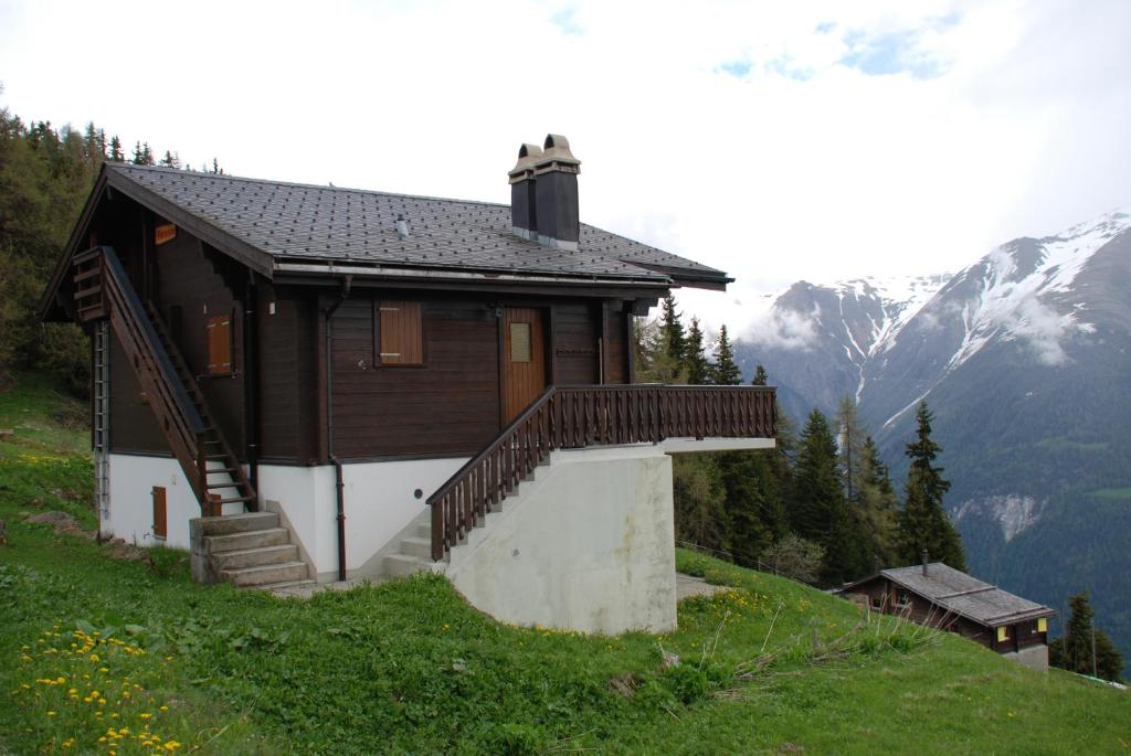 Příroda nedaleko apartmánu
