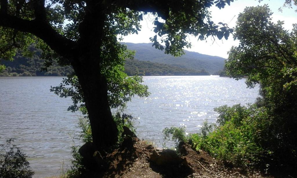 a view of a lake with a tree in the foreground at Mirador de Mulera in Ubrique