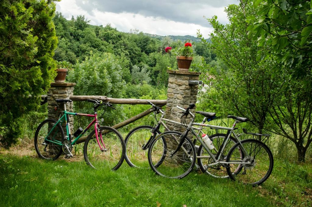 Jízda na kole v ubytování B&B Il Sole Delle Rive nebo okolí