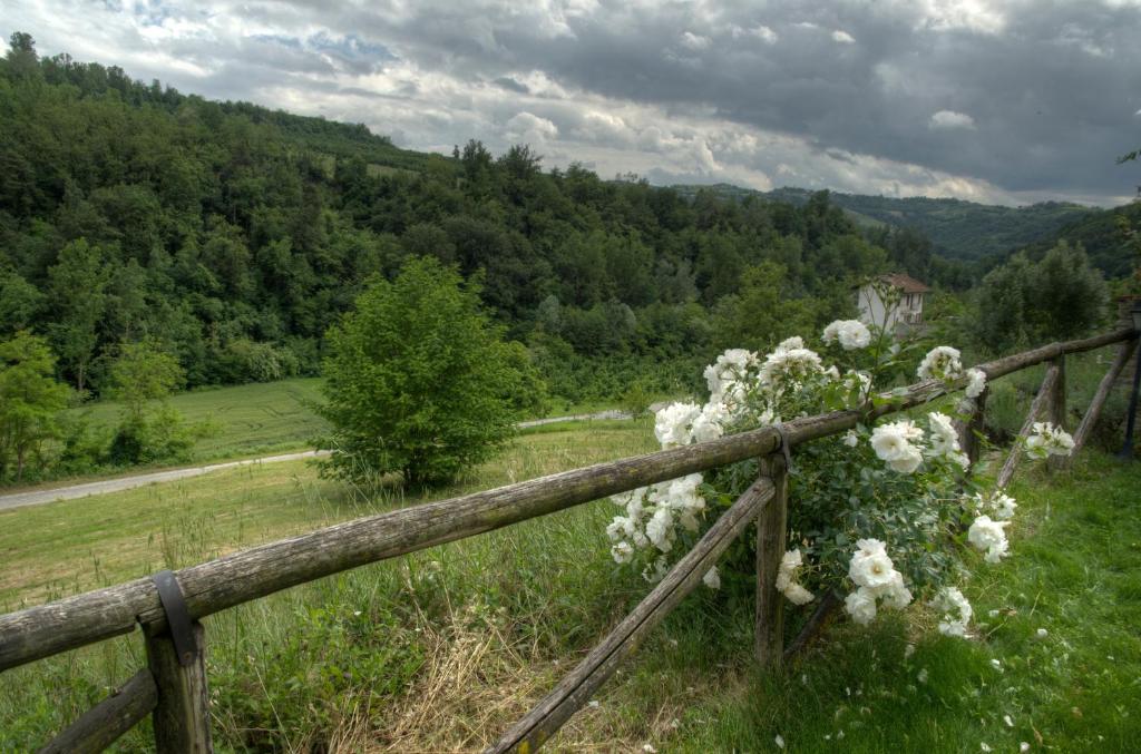 Příroda nedaleko bed and breakfast