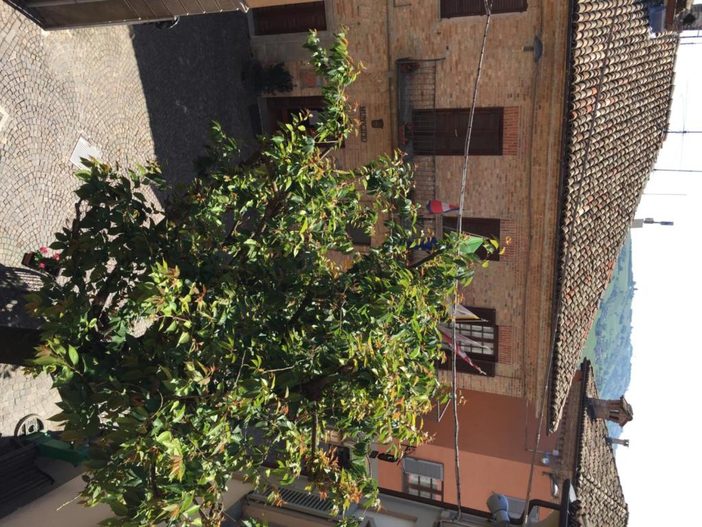 Balkón nebo terasa v ubytování Castelbourg