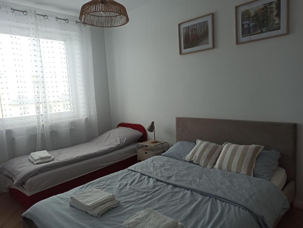 a bedroom with two beds and a window at Apartament Czartoryskich House z miejscem postojowym w garażu podziemnym in Puławy