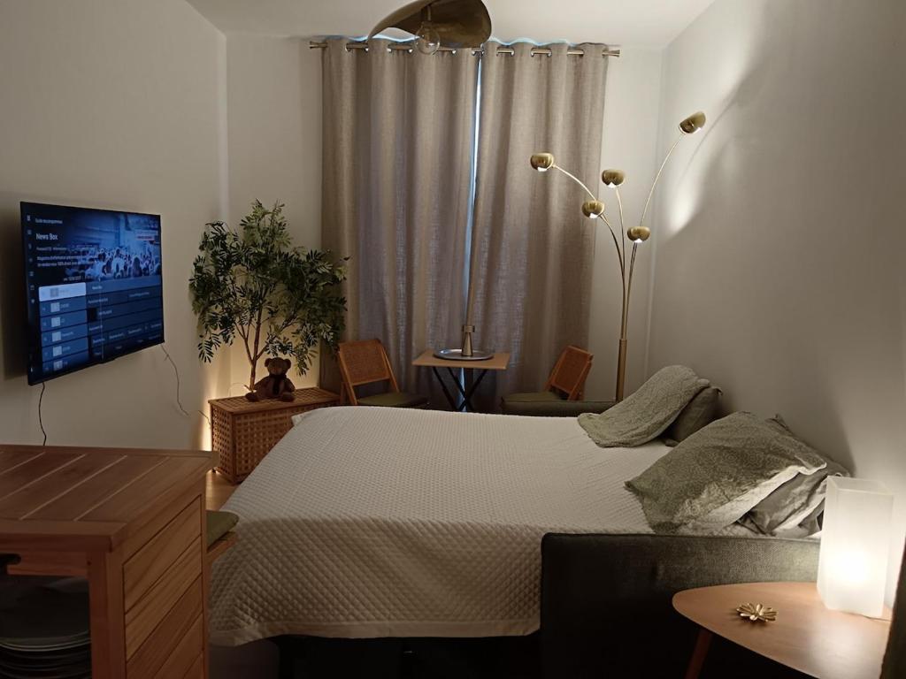 Katil atau katil-katil dalam bilik di Agréable logement à Loches