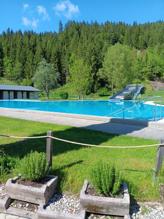 Bassein majutusasutuses Pension & Apartments Weissbriach või selle lähedal