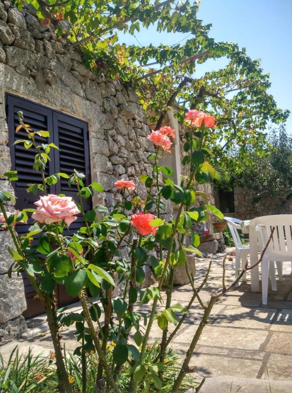 Zahrada ubytování Palacca, trullo salentino