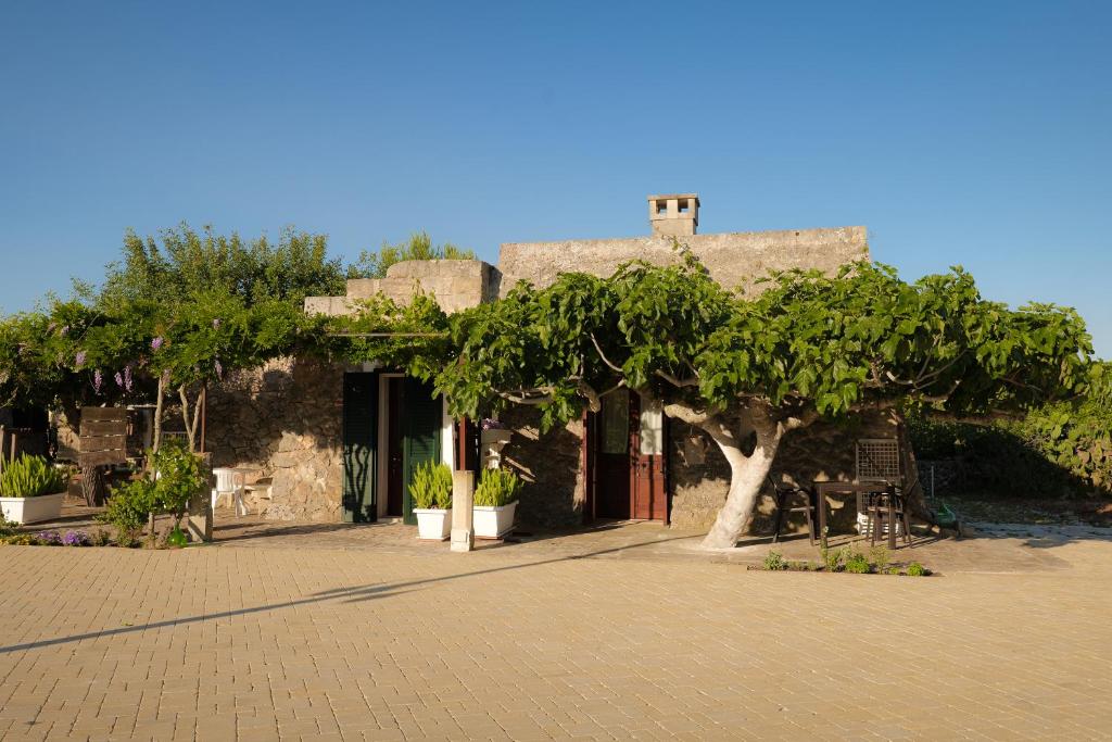 Fotografie z fotogalerie ubytování Palacca, trullo salentino v destinaci Andrano