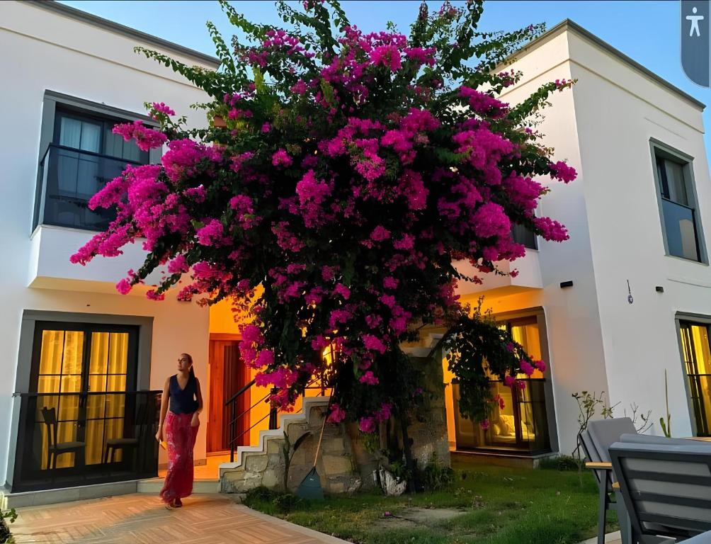 تصویر اتاق‌های Derin Apart Hotel Bodrum - تصویر ۲