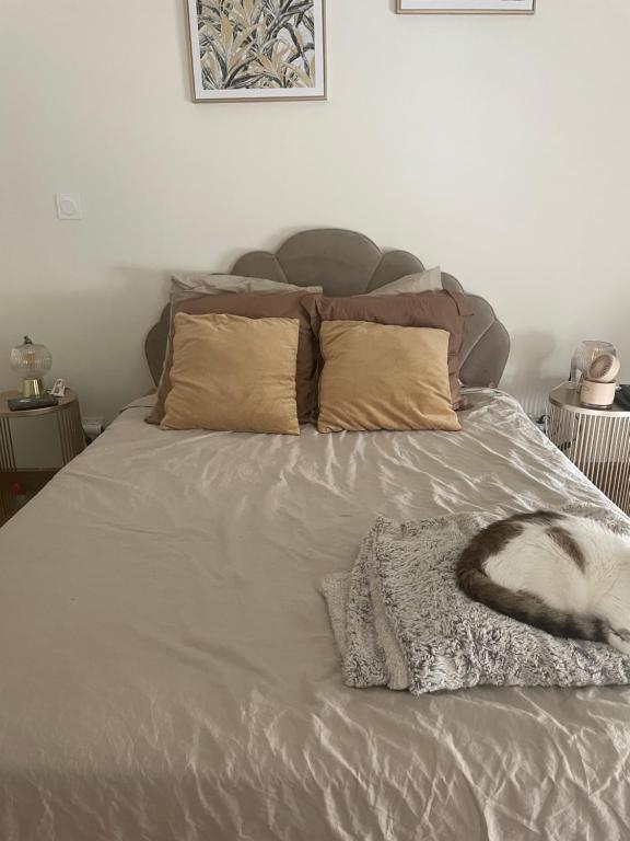 Foto dalla galleria di Maison chez habitant a Dommartin