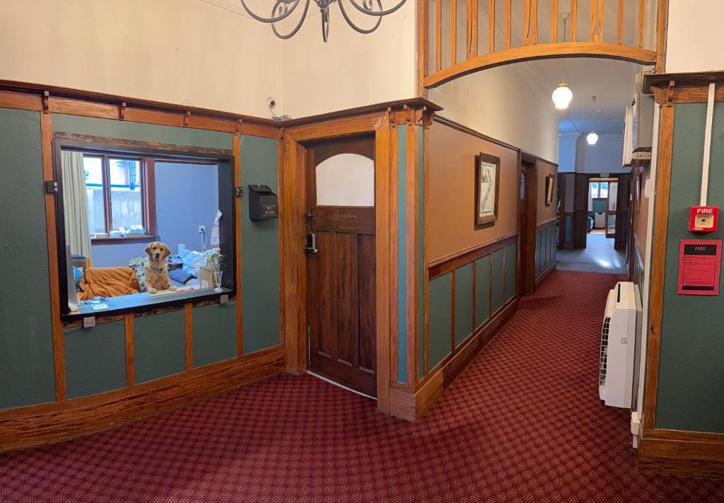 Manor on the Park Backpackers - Resim 44