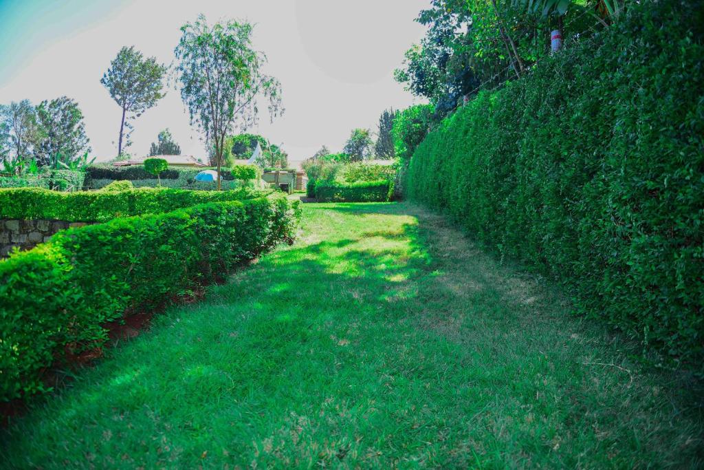a garden with green hedges and a path at Pottersville Gardens 