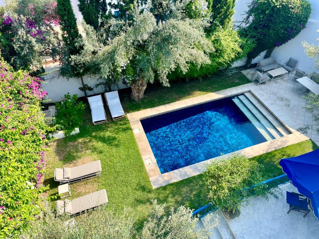 Foto dalla galleria di Olivia sidibou a Sidi Bou Saïd