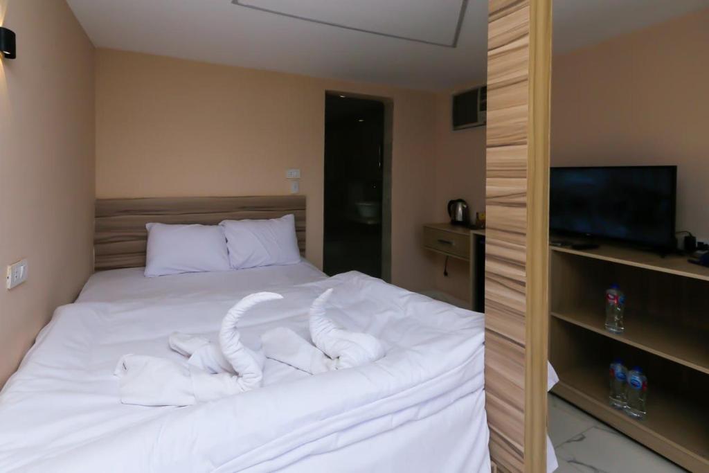 Guest rest view INN客房内的一张或多张床位