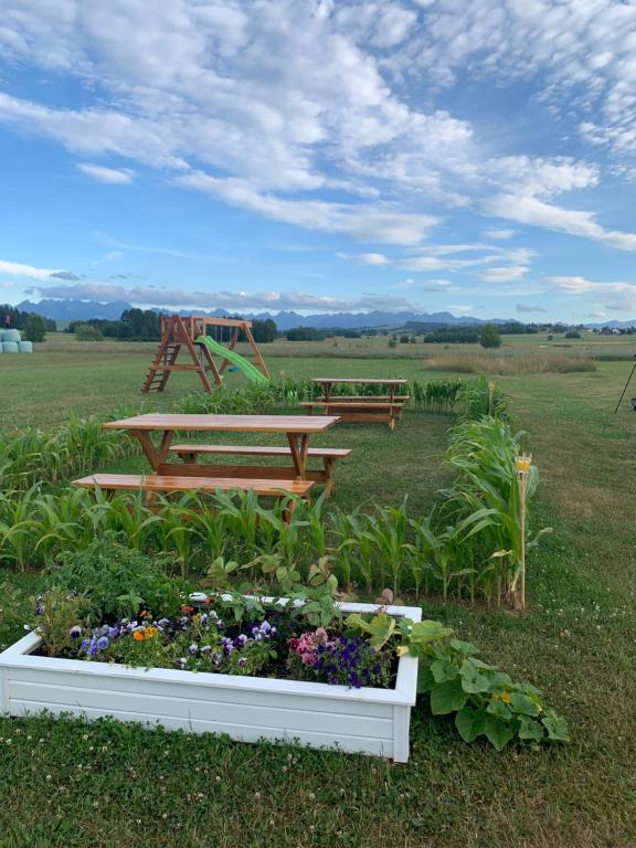 Сад в Gruszkowka Domek Letniskowy