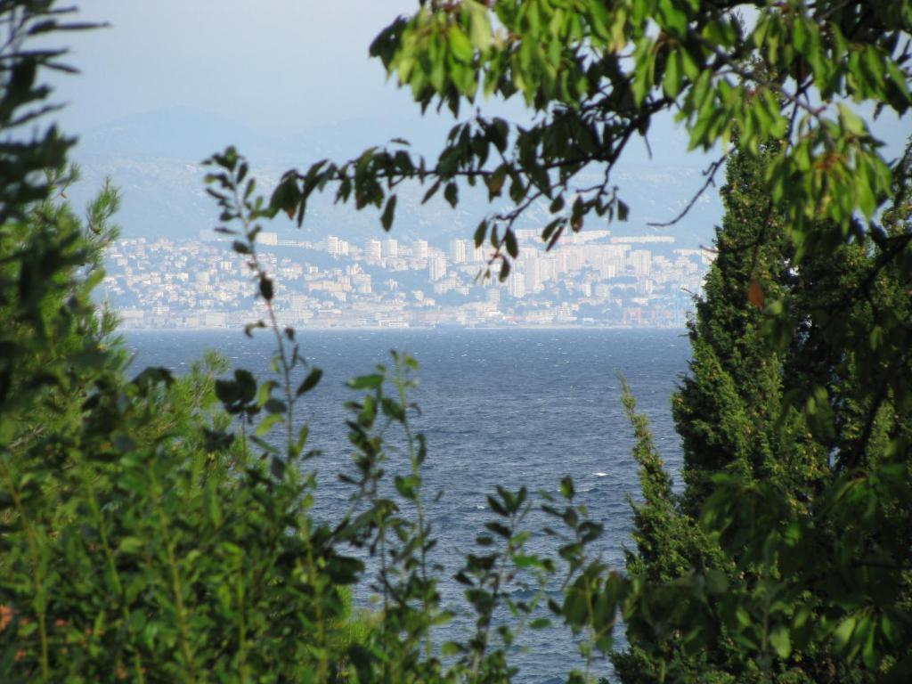 a view of the ocean from behind some trees at Apartment Sea Garden in Ičići