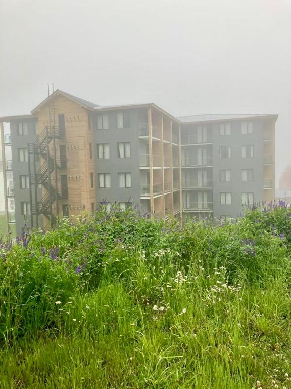 Edificio in cui si trova l'appartamento