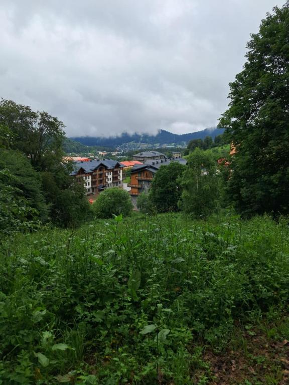 vista su una città da un prato di Vista Studio a Bakuriani