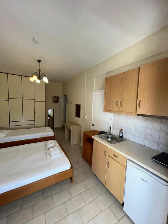 Kuchyň nebo kuchyňský kout v ubytování Villa Avra