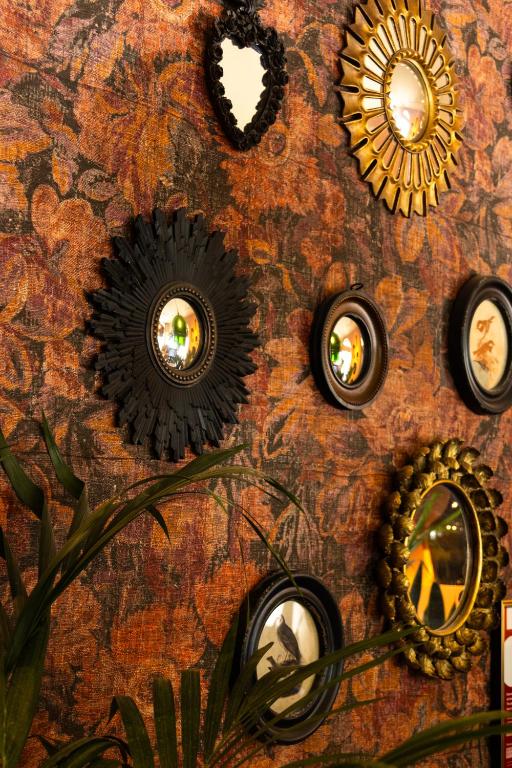 A decorative wall displaying a collection of ornate mirrors above indoor plants.