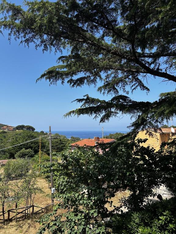 a view of a house from under a tree at Da Beatrice in Marciana Marina