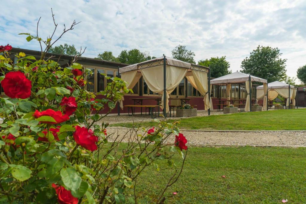 Zahrada ubytování Ristorante Albergo Al Donatore