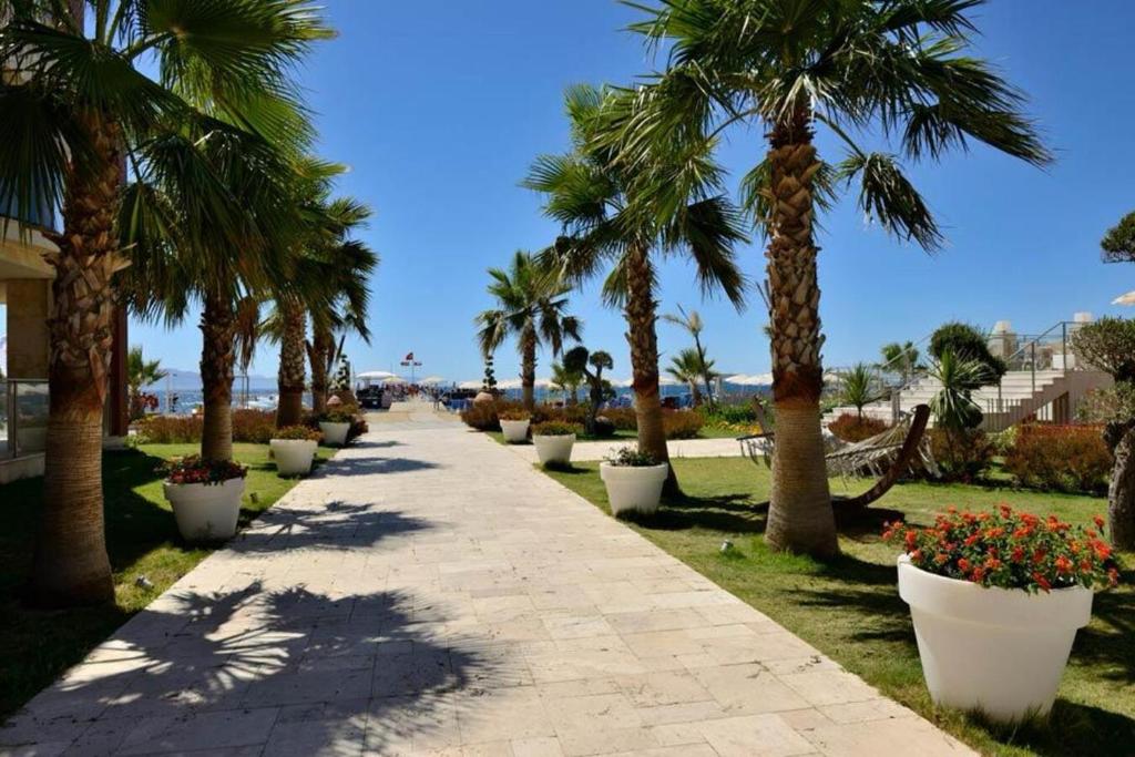 لابی و فضای عمومی Sundance Suites Hotel - تصویر ۵