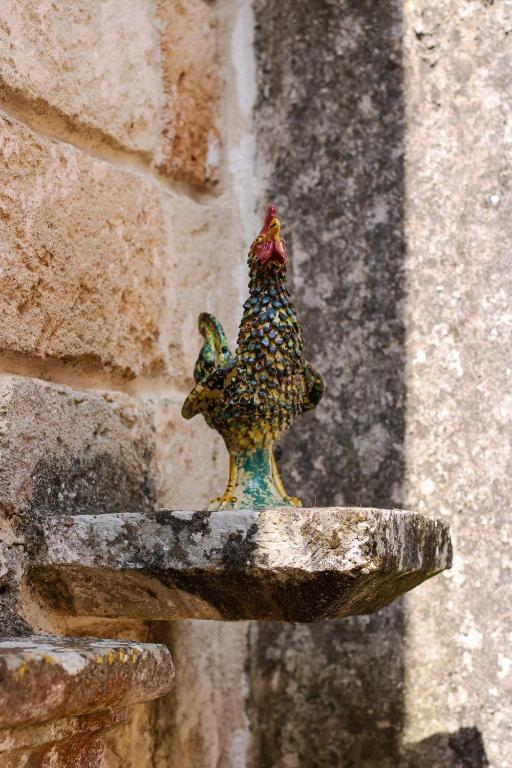 Fotografie z fotogalerie ubytování B&B Pergulea v destinaci Sternatia