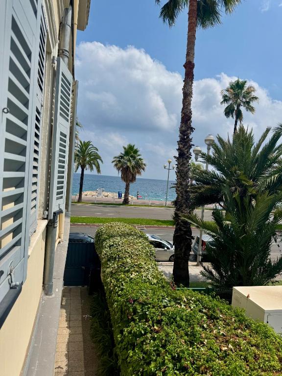 un bâtiment avec des palmiers et l'océan en arrière-plan dans l'établissement Cozy studio sur la promenade, à Nice