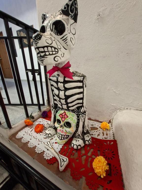 Fotografie z fotogalerie ubytování La Catrina Hostel v destinaci San Miguel de Allende