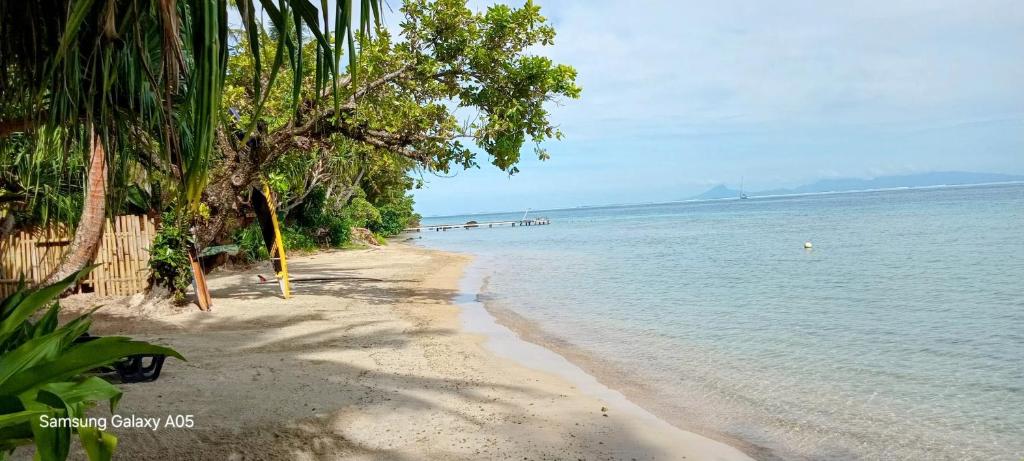 Te Fitii Garden & Beach - photo 7 - Huahine, Polynésie