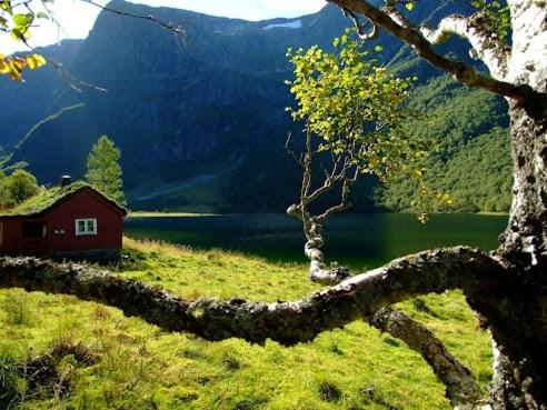 a small red house in a field next to a lake at Stall Rygg Mountain Cottage, Gloppen 