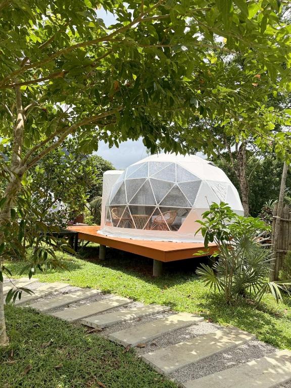 a tent sitting on a picnic table in the grass at Cosy Garden Khao Sok in Khao Sok National Park