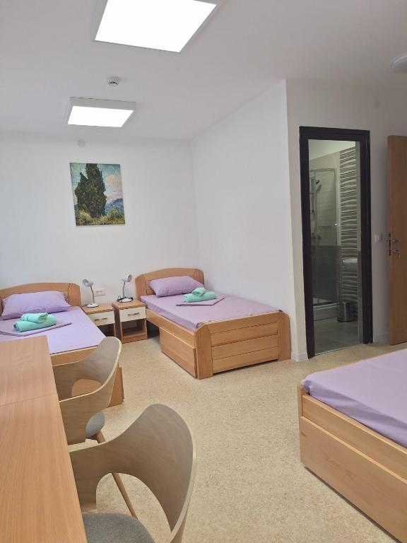 um quarto com duas camas e um espelho em Aleksa rooms em Belgrado